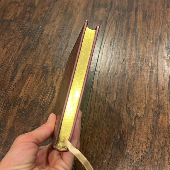 CLASSIQUE JOURNAL (DIARY, ANTIQUE NOTEBOOK) By Peter Pauper Press Mint Condition - Picture 2 of 10